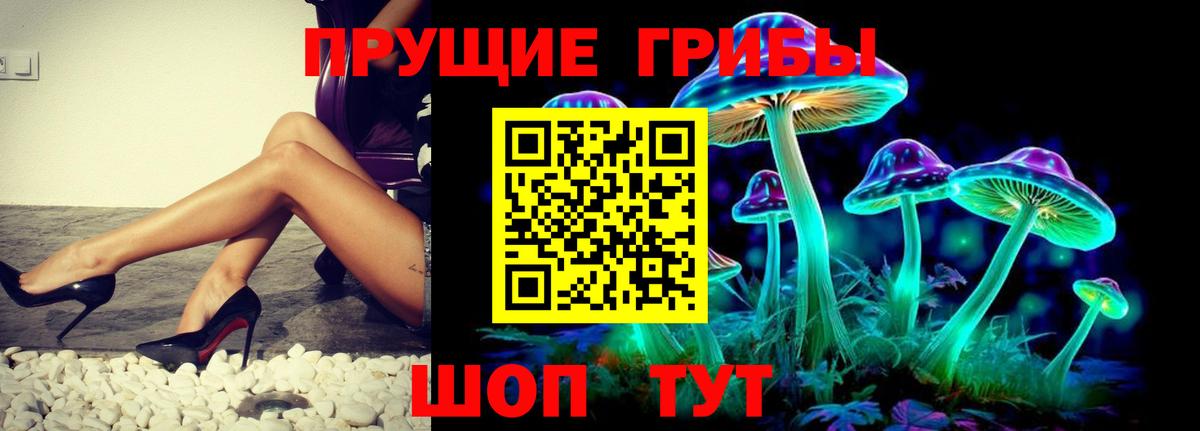 купить  сайты  Галлюциногенные грибы ЛСД  Вход с VPN  Лесосибирск 